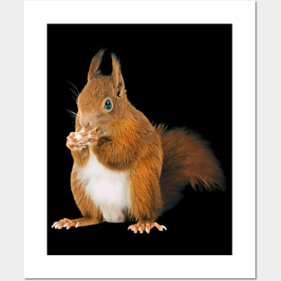 Squirrel- Woodland Themed Kids Room, Funny Gifts For Forester, Cute Anima Posters and Art